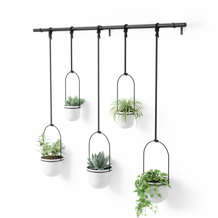 Jardinière suspendue Triflora de Umbra blanche - ensemble de 6