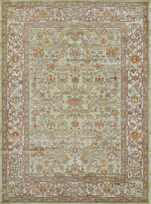 Tapis Traditionnel Hailey 6'7\" x 9'6\" en Vert