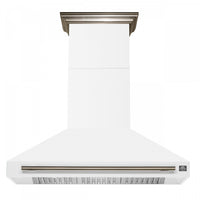 Hotte de cuisiniere murale Aria de 48 po, blanc-FRHWM5095-48WHT