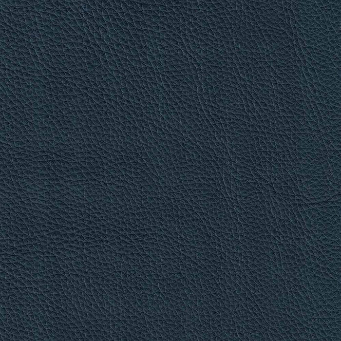 Fauteuil Cassis de Hydeline en cuir - bleu marine