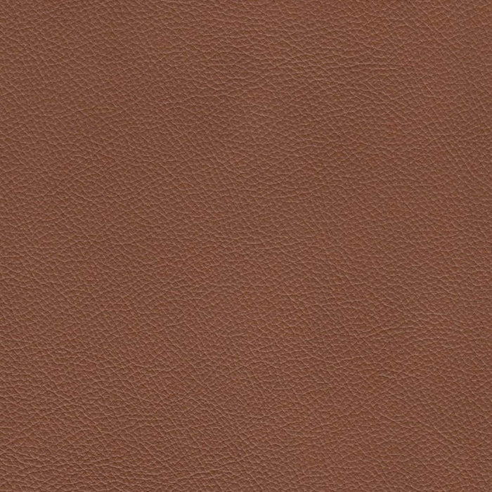 Fauteuil Cassis de Hydeline en cuir - brun