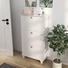 HOMCOM Modern Shoe Cabinet with 3 Flip Drawers for 12 Pairs of Shoes
