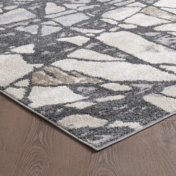 Carpette Darius à motif de glace brisée - 6 pi 7 po x 9 pi 6 po