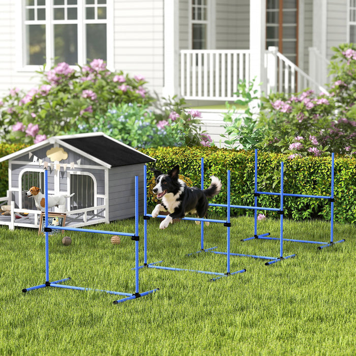 Ensemble d'entrainement d'agilite pour chien