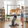 PawHut 43" L Hydraulic Dog Grooming Table, Z-Lift Height Adjustable Pet Grooming Table with Noose and Non-Slip Tabletop for Medium Large Dogs, Black