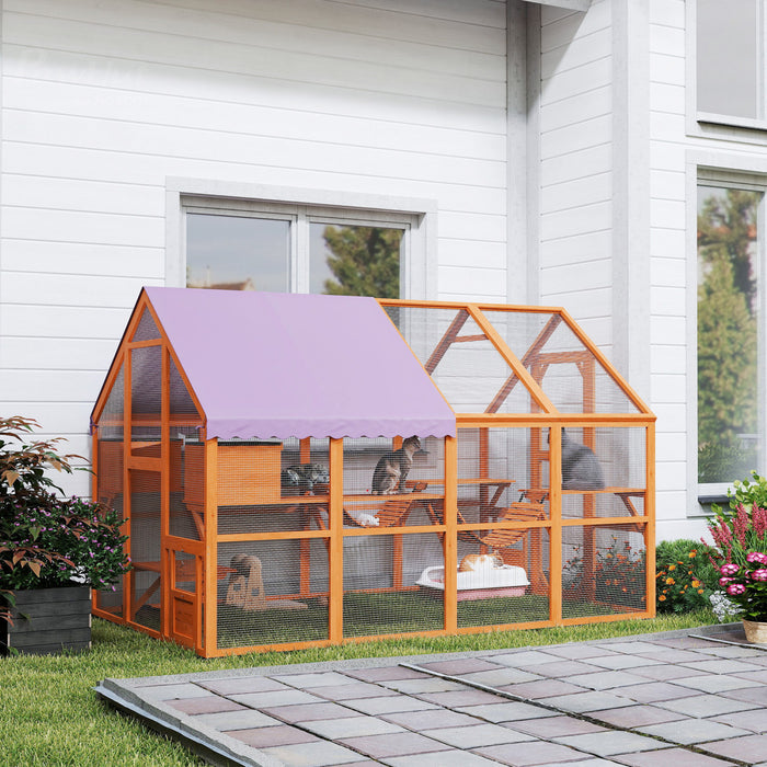 Enclos Exterieur Pour Chat Catio Avec Auvent, Ponts