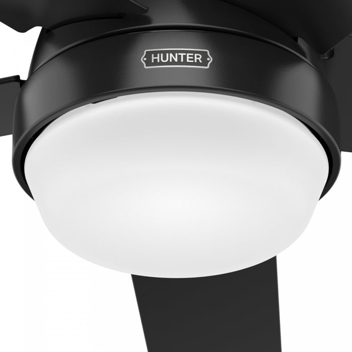 Ventilateur de plafond Aerodyne avec luminaire - Noir