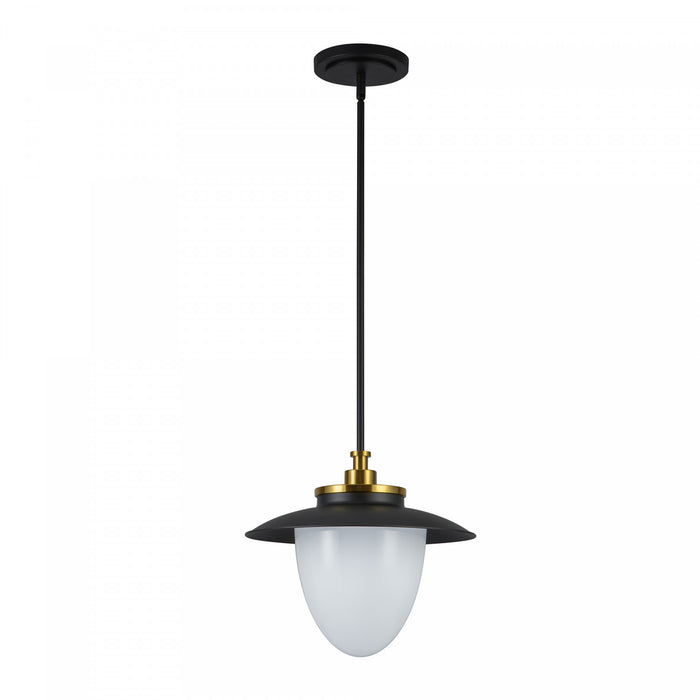 Suspension A 1 lampe Dahlia De 15 po, Noire