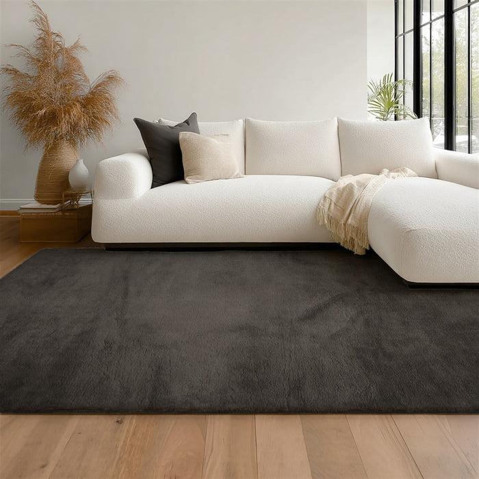 Tapis Lavable/Moelleux Argo 5'0\" x 7'6\" en Charbon