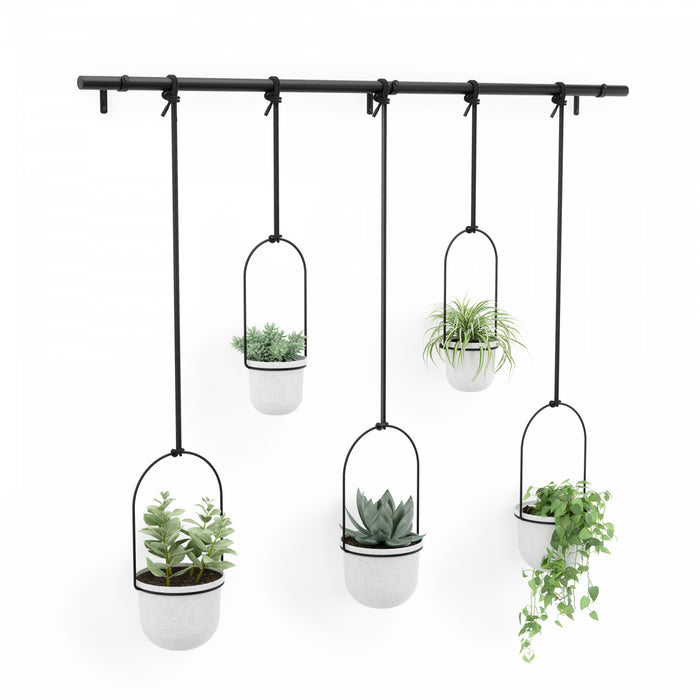 Jardinière suspendue Triflora de Umbra blanche - ensemble de 6