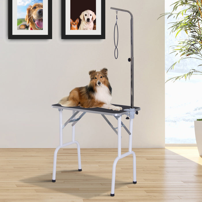 Pawhut Table De Toilettage Pliable Pour Animaux De Compagnie De 32 Po Table De Bain Professionnelle Pour Chien Et Chat Surface Texturee Avec Bras Reglable