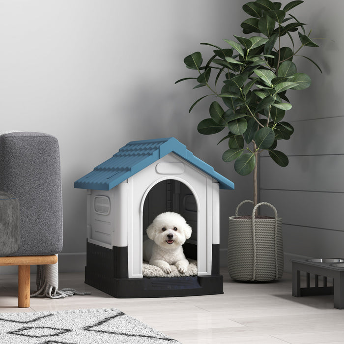 Niche exterieure avec fenetres pour chiens miniatures, bleu