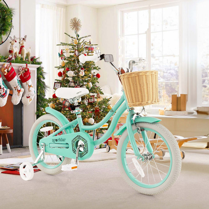 Prorider 16\" Velo Enfant Avec Roues D'entrainement Reglable Guidon Siege Frein A Main Vert