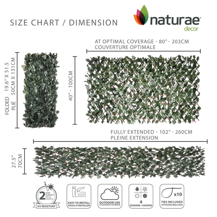 Treillis de saule extensible avec feuilles de lierre - 40 po x 80 po