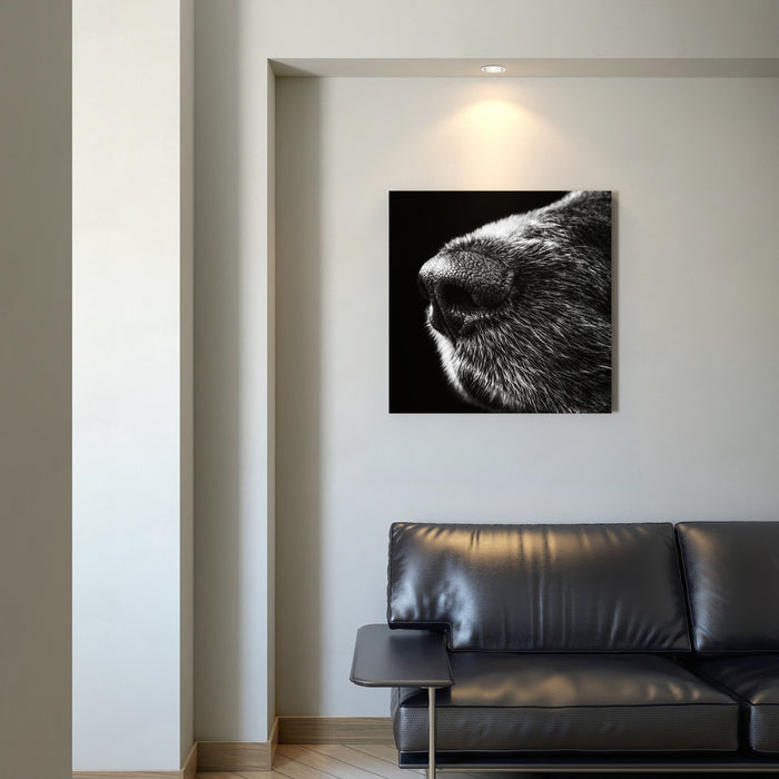 Œuvre d’art murale « Ruffus »