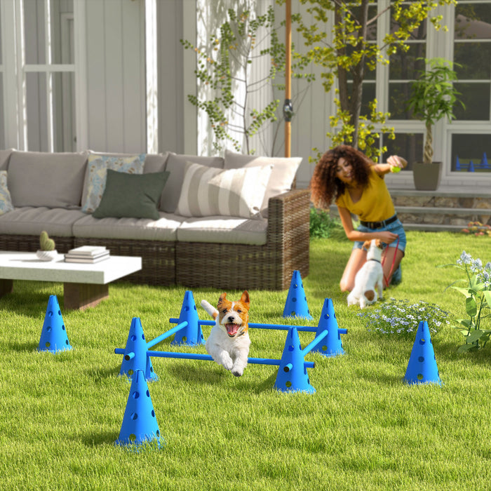 Ensemble d'entrainement d'agilite pour chien