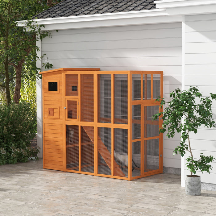 Pawhut Grande Maison Pour Chat D'exterieur En Bois Avec Grand Enclos Pour Jouer, Zone De Condo Pour Dormir, Naturel