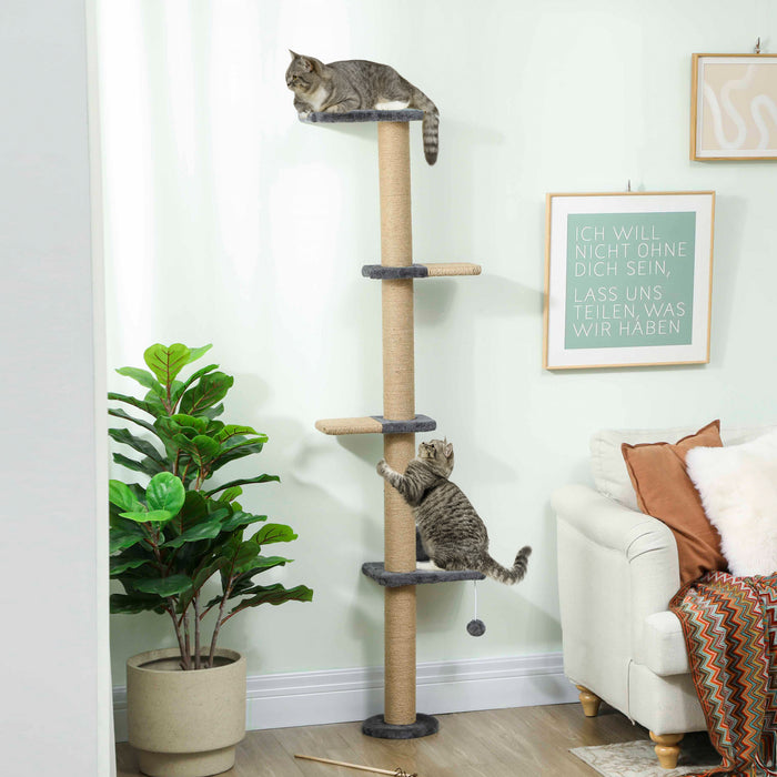 Wall Mounted Cat Shelves With Perch For Playing, Dark Grey