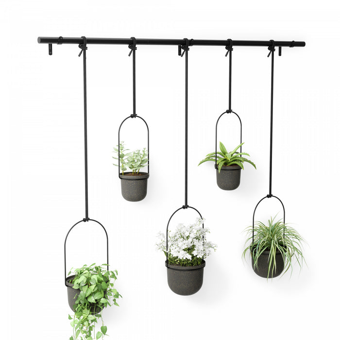 Jardinière suspendue Triflora de Umbra noire - ensemble de 5