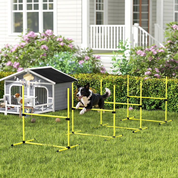 Ensemble d'entrainement d'agilite pour chien