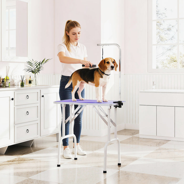 Table de Toilettage 81 cm pour Petits et Moyens Chiens et Chats, Violet