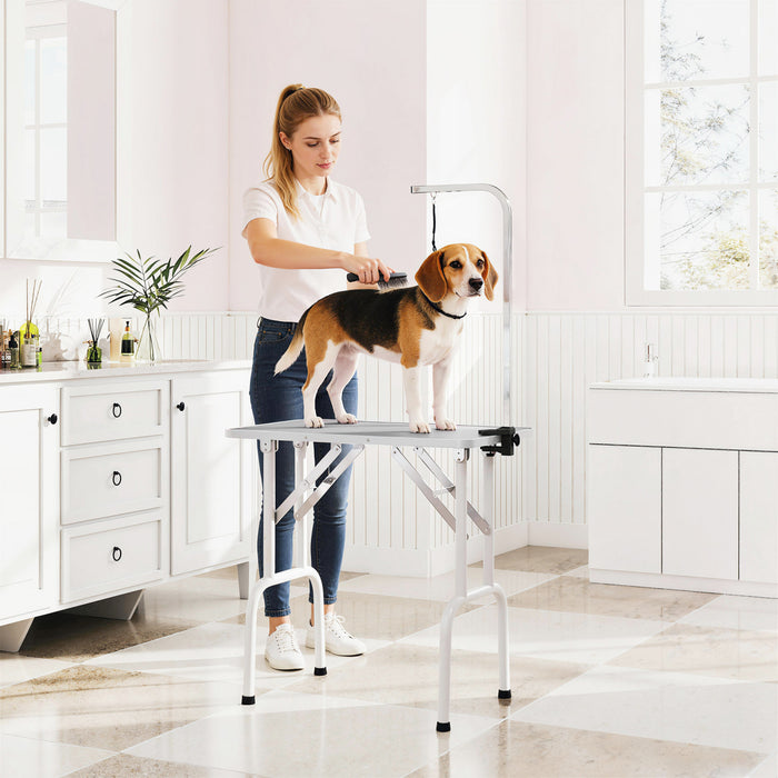 Table de Toilettage 81 cm pour Chiens et Chats de Petite et Moyenne Taille, Gris