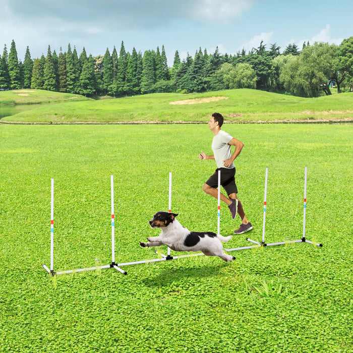 Ensemble d'entrainement d'agilite pour chien