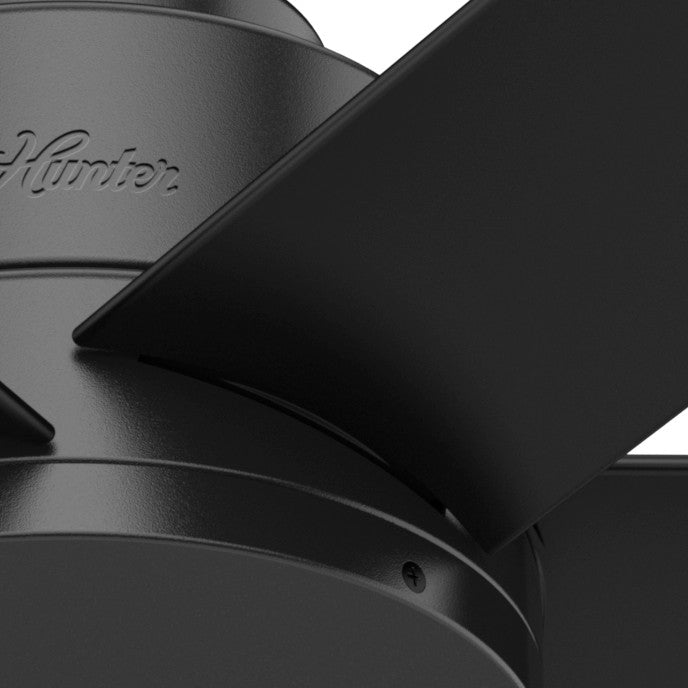 Ventilateur de plafond Kennicott - Noir