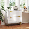 HOMCOM 2 Drawer File Cabinet Lateral Filing Cabinet High Gloss White