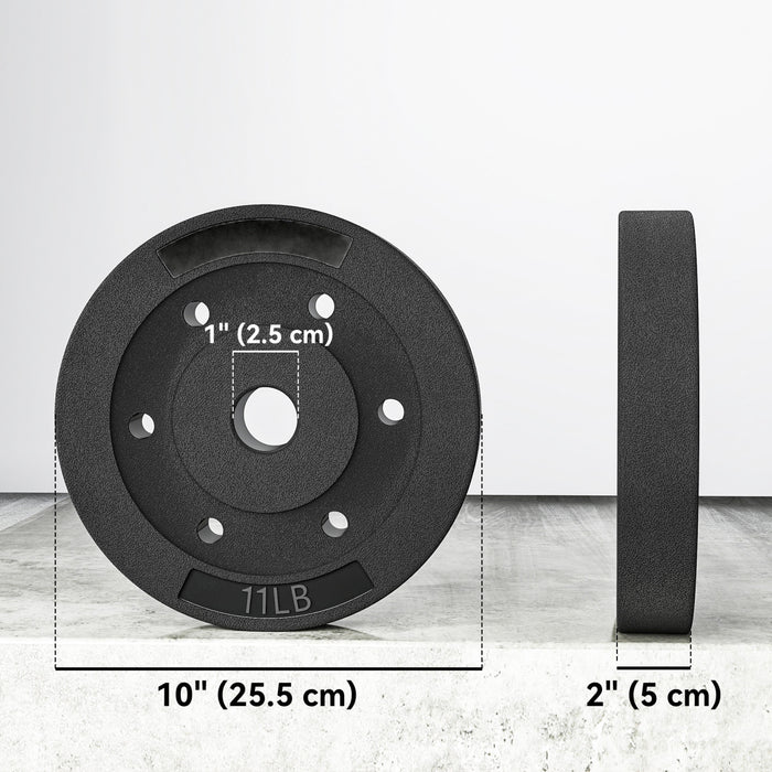 Soozier Ensemble de 2 plaques de poids Lot de poids pour halteres, 4 x 11lb