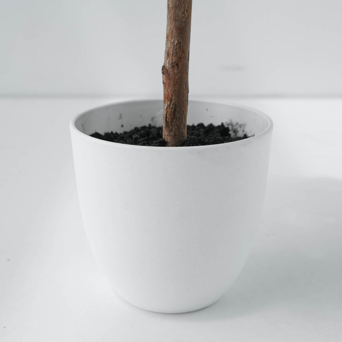Arbre poinsettia de table blanc de 22 po