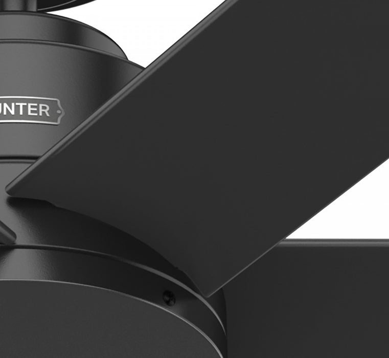 Ventilateur de plafond Kennicott - Noir