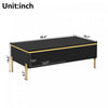 Lustra 39.4 Inch Modern High-Gloss Coffee Table with Dual Drawers and Gold Accents, Black | Lustra Table Basse Moderne Haute Brillance 39.4 po avec Double Tiroirs et Accents Dores, Noir