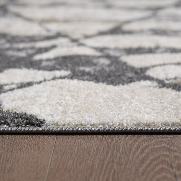 Carpette Darius à motif de glace brisée - 6 pi 7 po x 9 pi 6 po