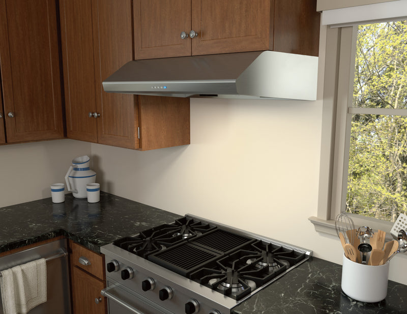 Hotte de cuisinière sous l’armoire Hurricane de Zephyr de 30 po - acier inoxydable - AK2500CS