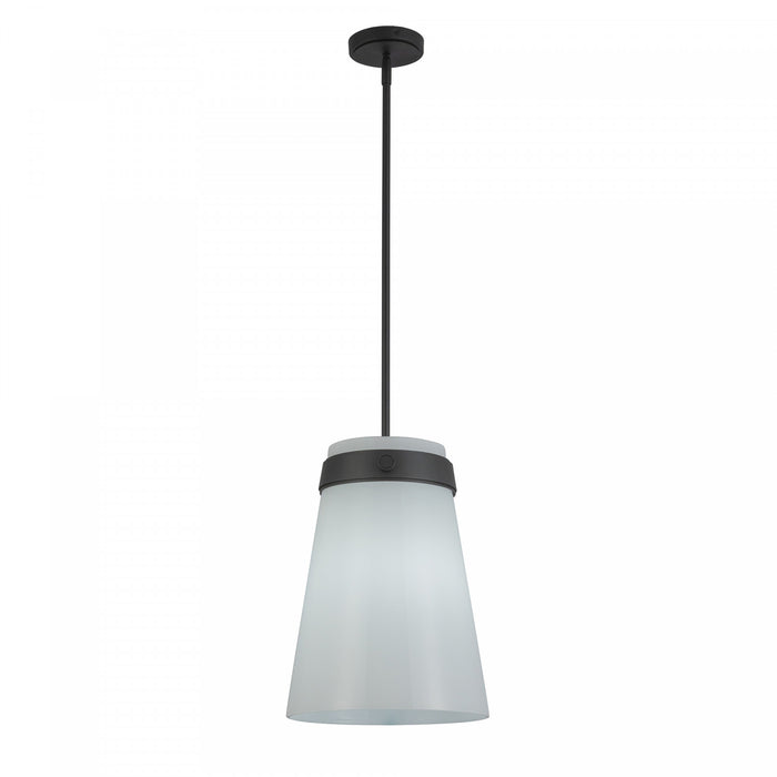 Suspension A 1 lampe Dahlia De 12 po, Noire