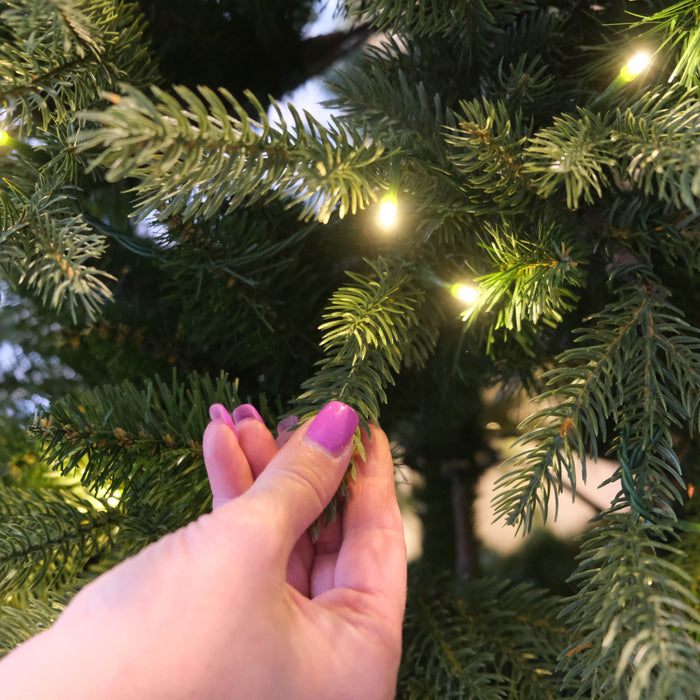 Abre de Noël sapin Frasier illuminé de 7 pieds