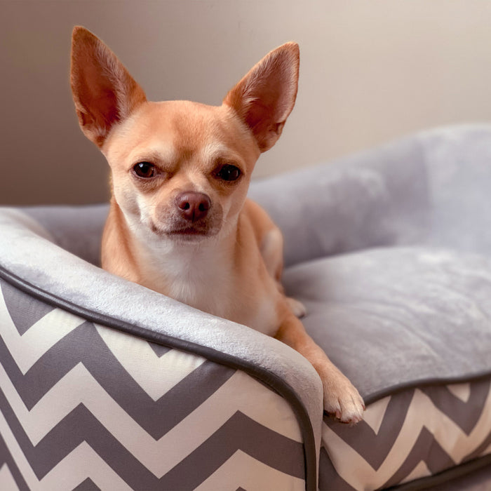 Pawhut Animal De Compagnie Doux Chaud Canape Sureleve Chien Chiot Lit De Couchage Lit Sureleve Salon Canape Traversin Cotes Portable Meubles Pour Animaux De Compagnie Gris