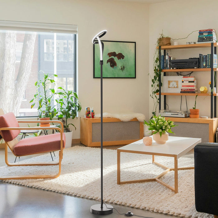 Lampe à pied à conception de boucle à DEL de 59 po noire