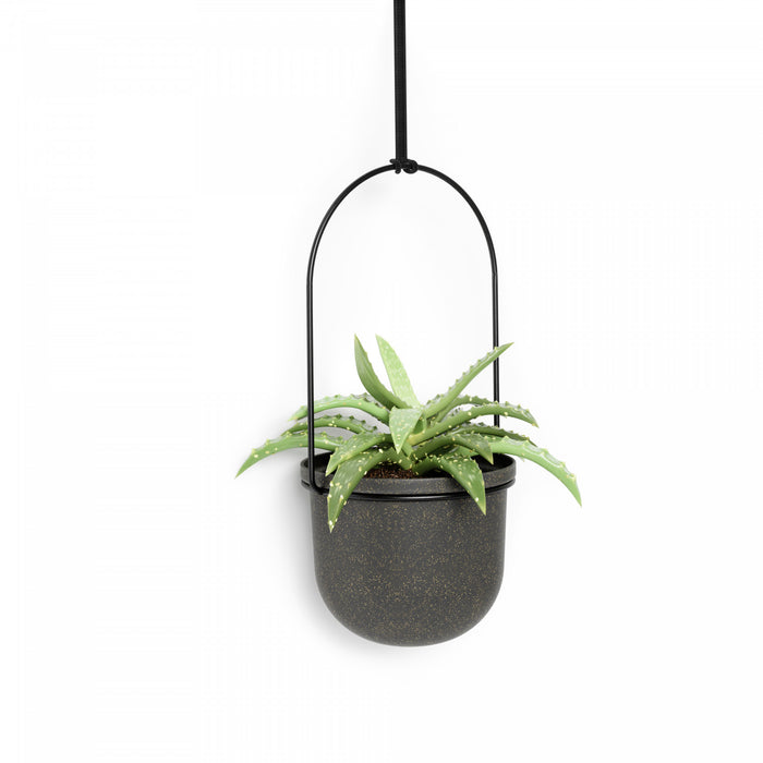 Jardinière suspendue Triflora de Umbra noire - ensemble de 5