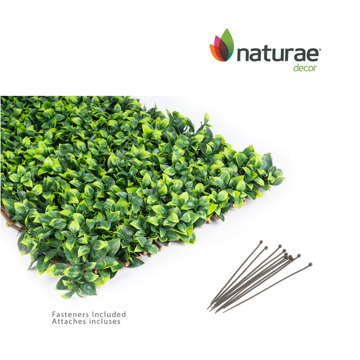 Treillis de saule extensible avec feuilles de gardénia - 40 po x 80 po