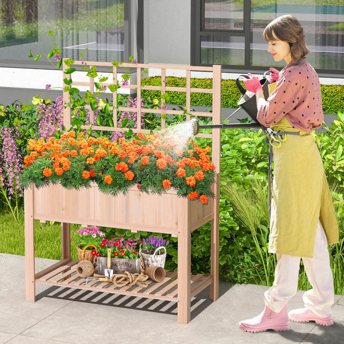 Costway Souleve Lit De Jardin Eleve Boite De Planteur En Bois W / Trellis Et Etagere De Stockage Ouverte