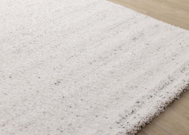Tapis Surrey mouchete blanc gris, 6'7\" x 9'6\"