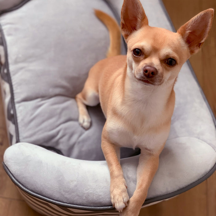 Pawhut Animal De Compagnie Doux Chaud Canape Sureleve Chien Chiot Lit De Couchage Lit Sureleve Salon Canape Traversin Cotes Portable Meubles Pour Animaux De Compagnie Gris
