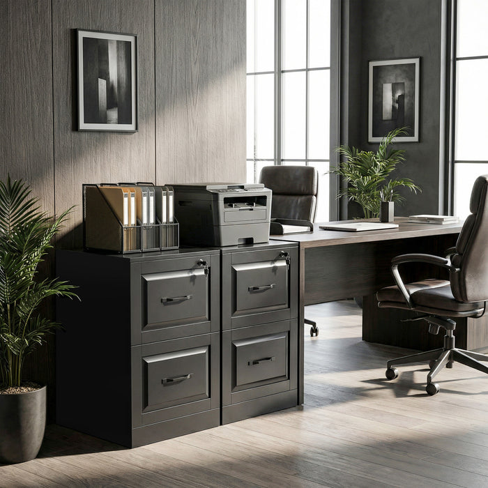 HOMCOM Classeur Vertical a 2 Tiroirs avec Serrure, Noir