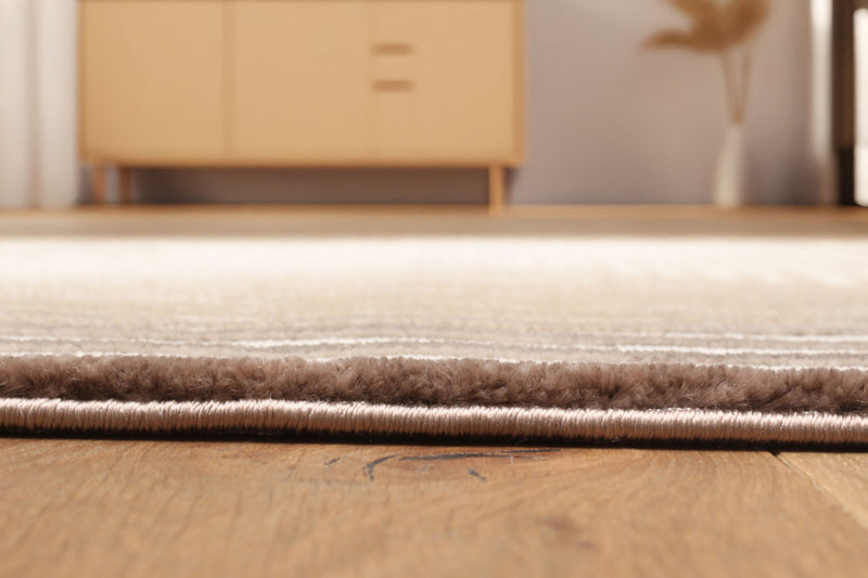 Tapis Contemporain/Moderne Ramona 8'0\" x 10'0\" en Brun clair