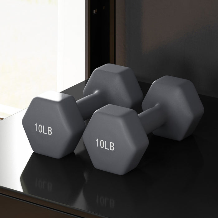 Soozier Lot de 2 halteres de 10lb, paire de poids pour entrainement de gym