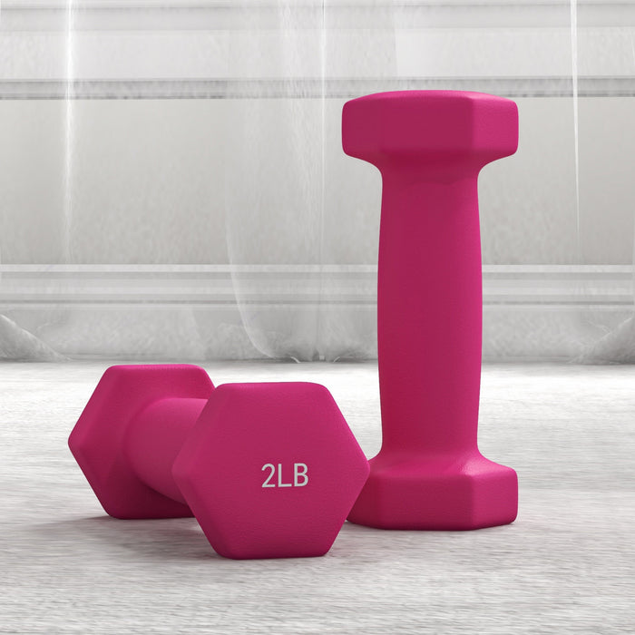 Soozier Ensemble d'halteres avec support d'halteres, 2x2 lb, 2x3 lb, 2x5 lb