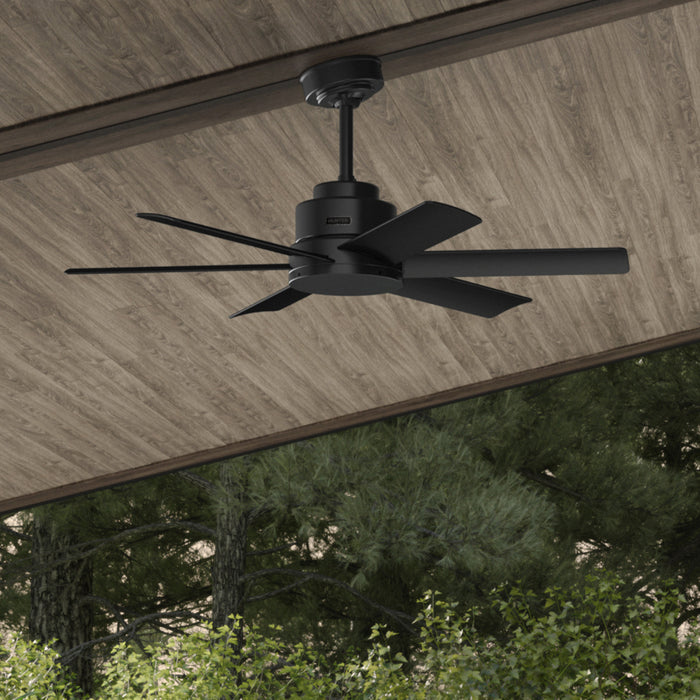 Ventilateur de plafond Kennicott - Noir