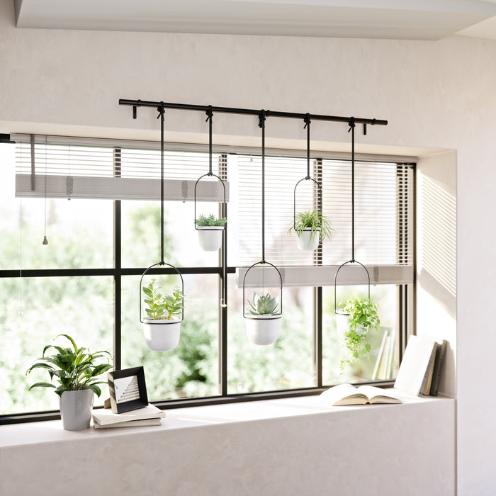 Jardinière suspendue Triflora de Umbra blanche - ensemble de 6